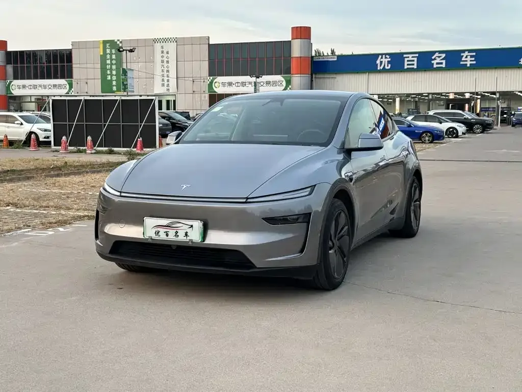 Tesla Model Y — фото 1