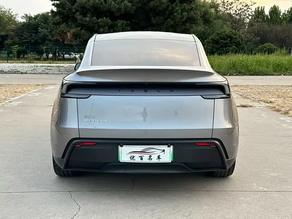Tesla Model Y — фото 9
