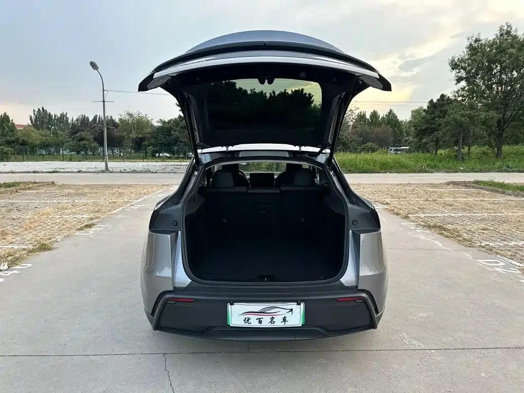 Tesla Model Y — фото 3