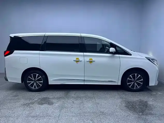 GAC Motor Trumpchi M8 — фото 10