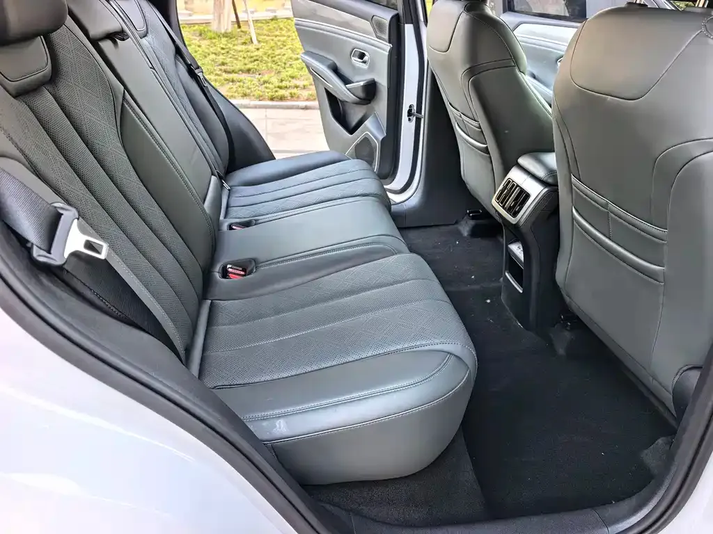 BYD L DM-i — фото 4