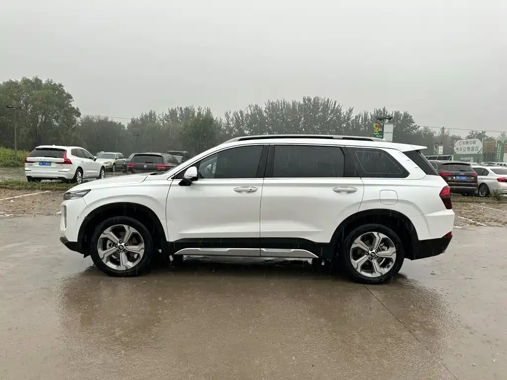 Hyundai Santa Fe — фото 6