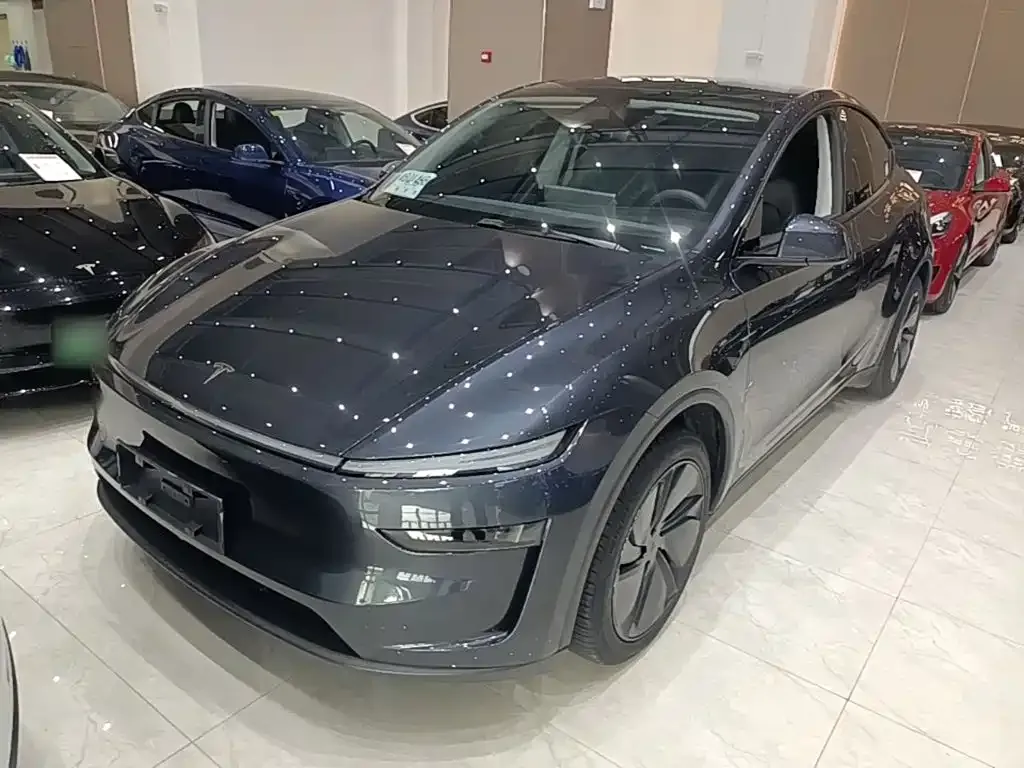 Tesla Model Y — фото 10