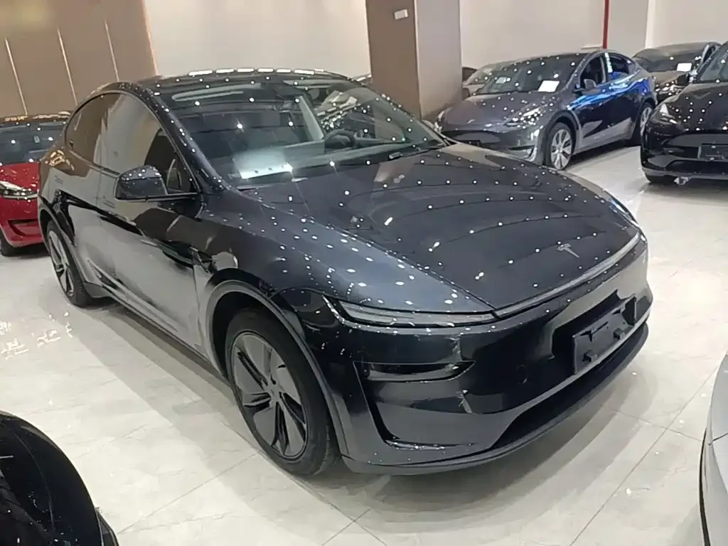 Tesla Model Y — фото 8