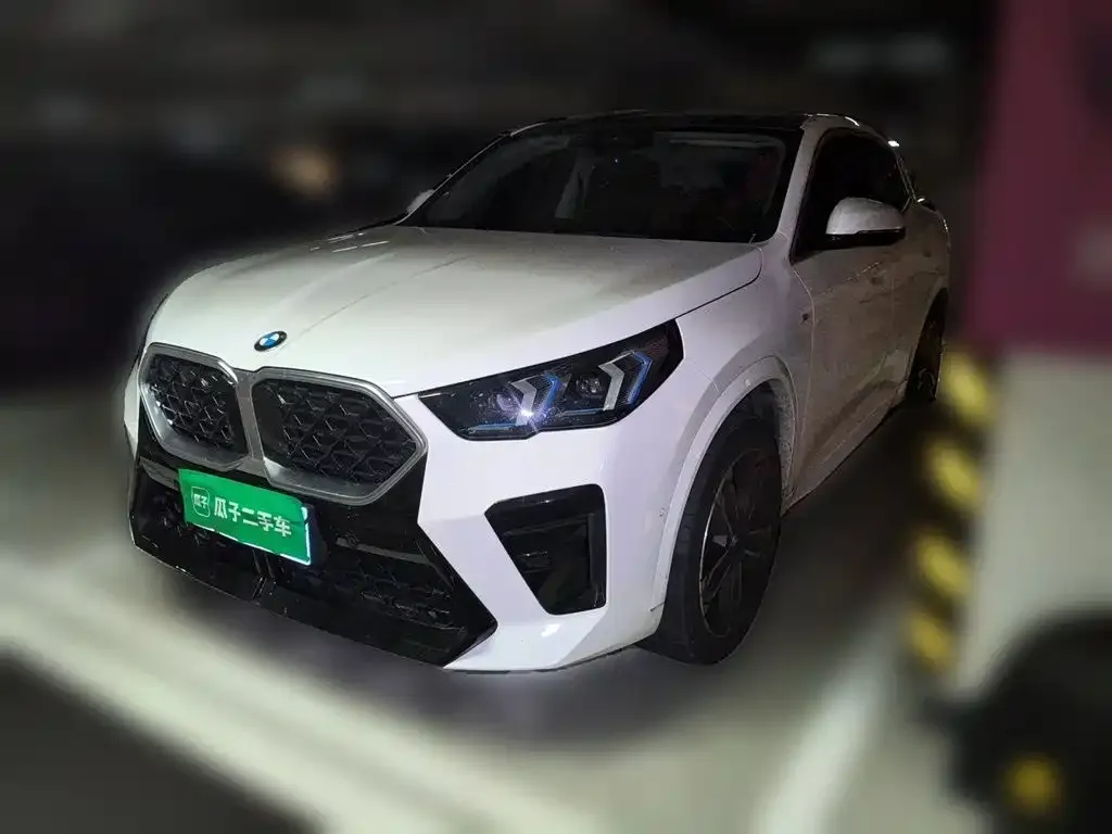 BMW X2 (Import) — фото 1