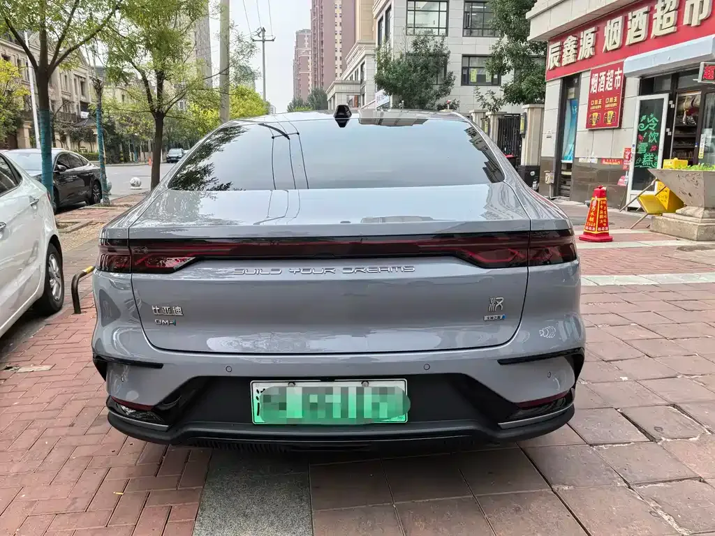 BYD Han — фото 10
