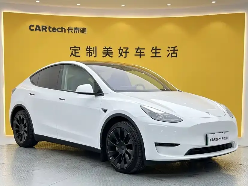 Tesla Model Y — фото 1