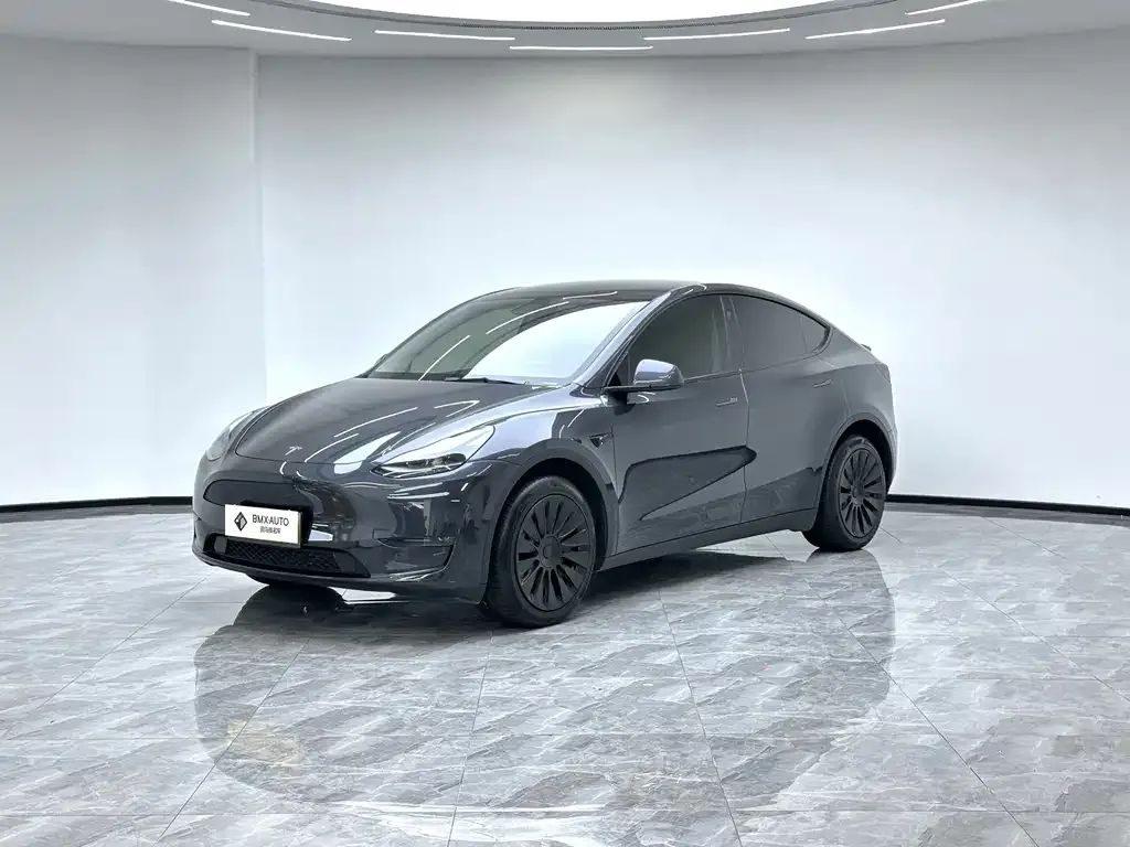 Tesla Model Y — фото 1