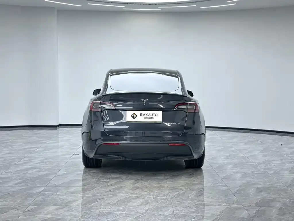 Tesla Model Y — фото 2