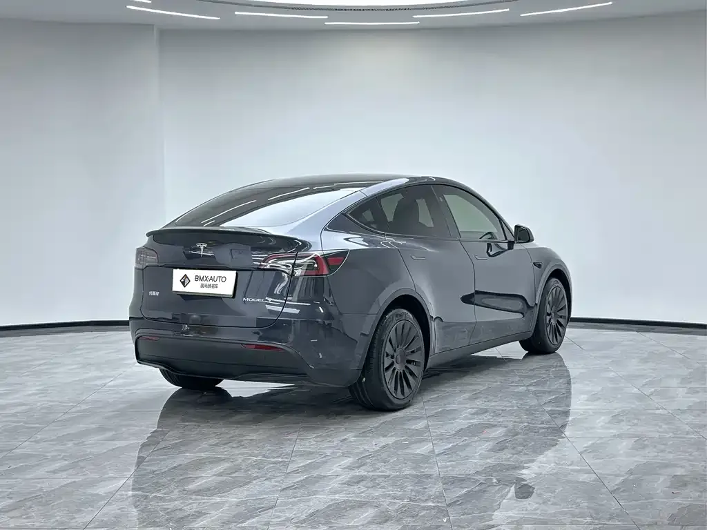 Tesla Model Y — фото 3
