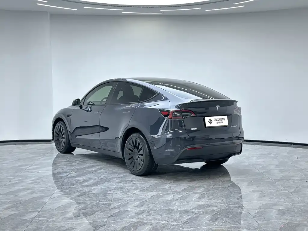 Tesla Model Y — фото 6