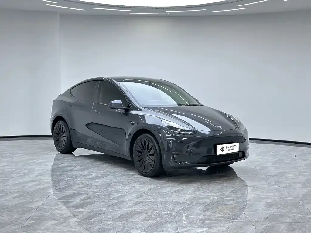 Tesla Model Y — фото 5