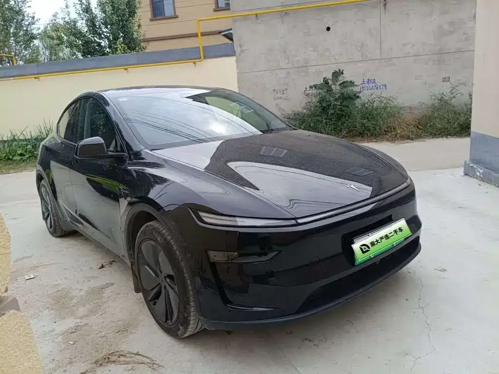 Tesla Model Y — фото 10