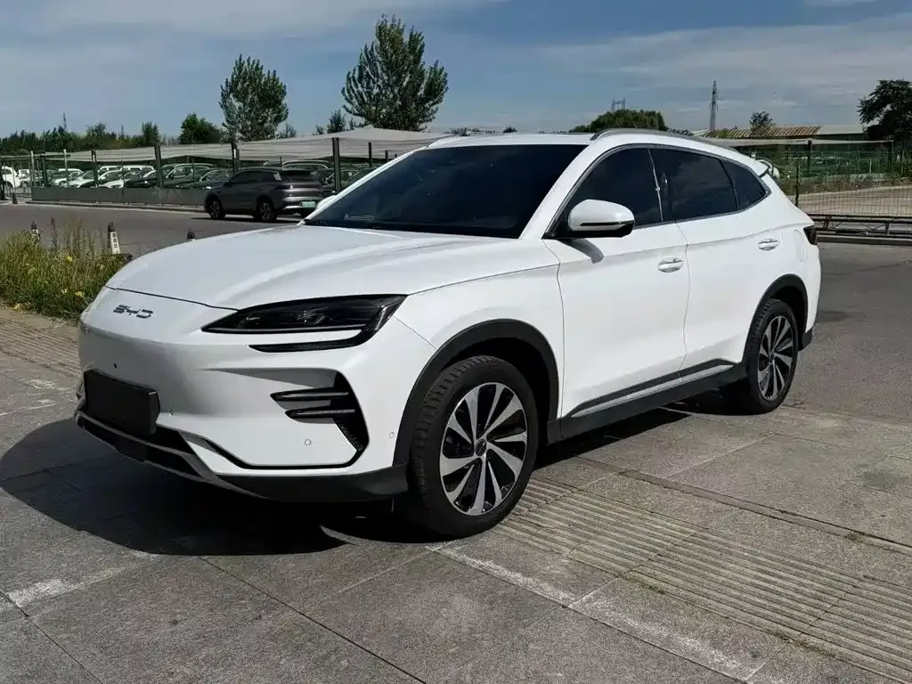 BYD PLUS New Energy — фото 1