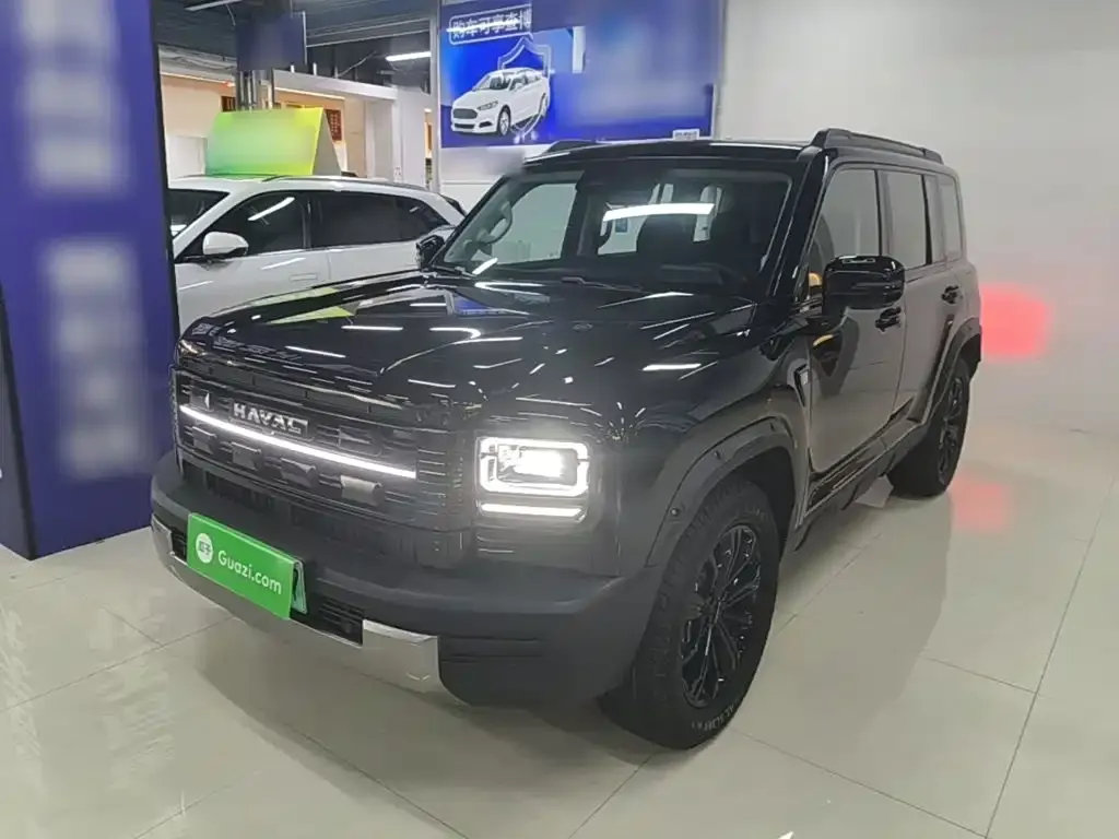 Haval Menglong New Energy — фото 1