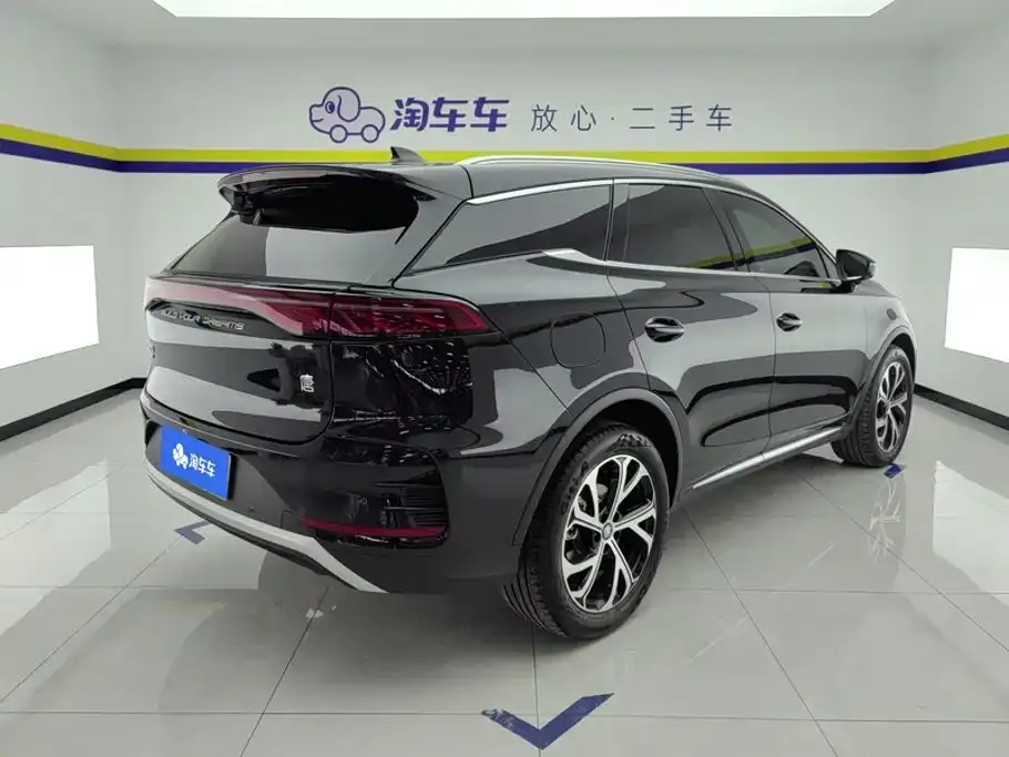 BYD Tang New Energy — фото 4
