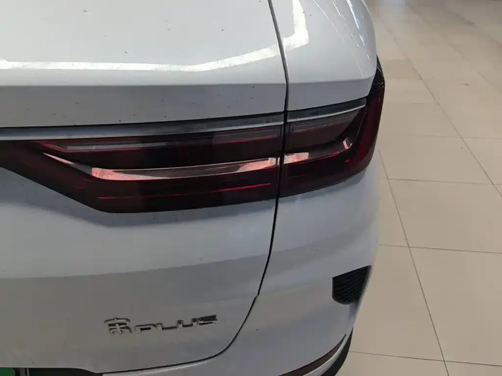 BYD PLUS New Energy — фото 10