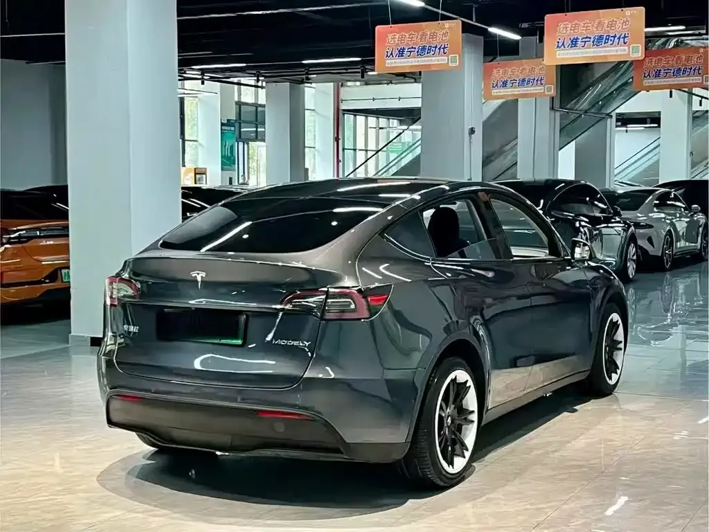 Tesla Model Y — фото 3