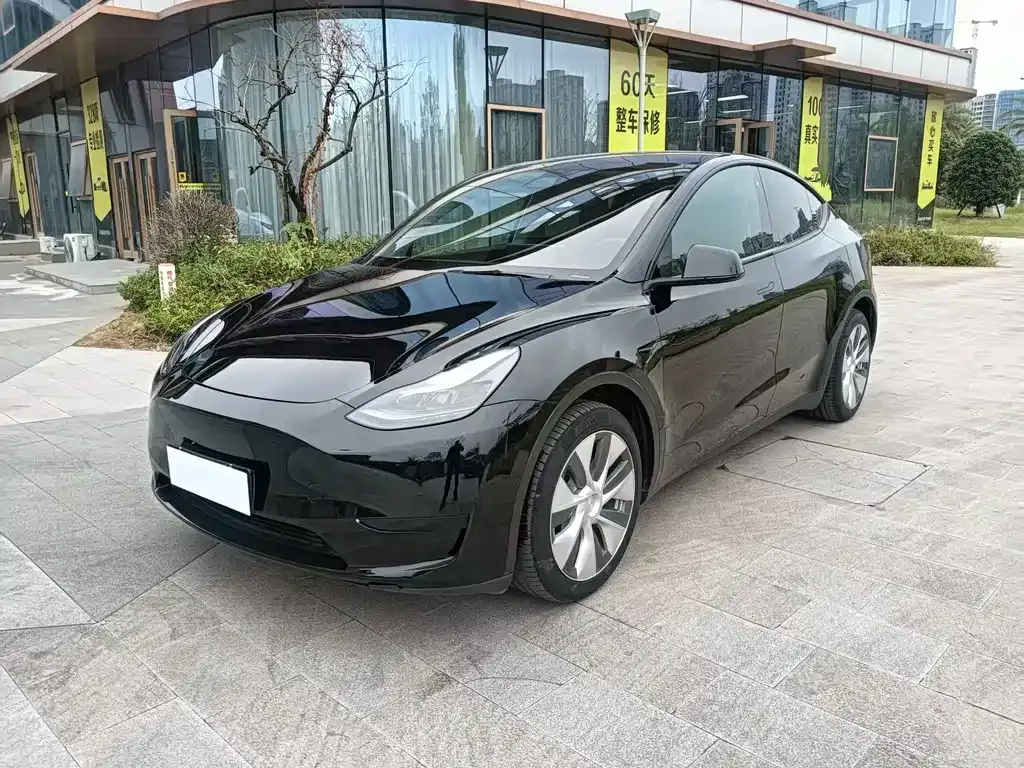 Tesla Model Y — фото 1