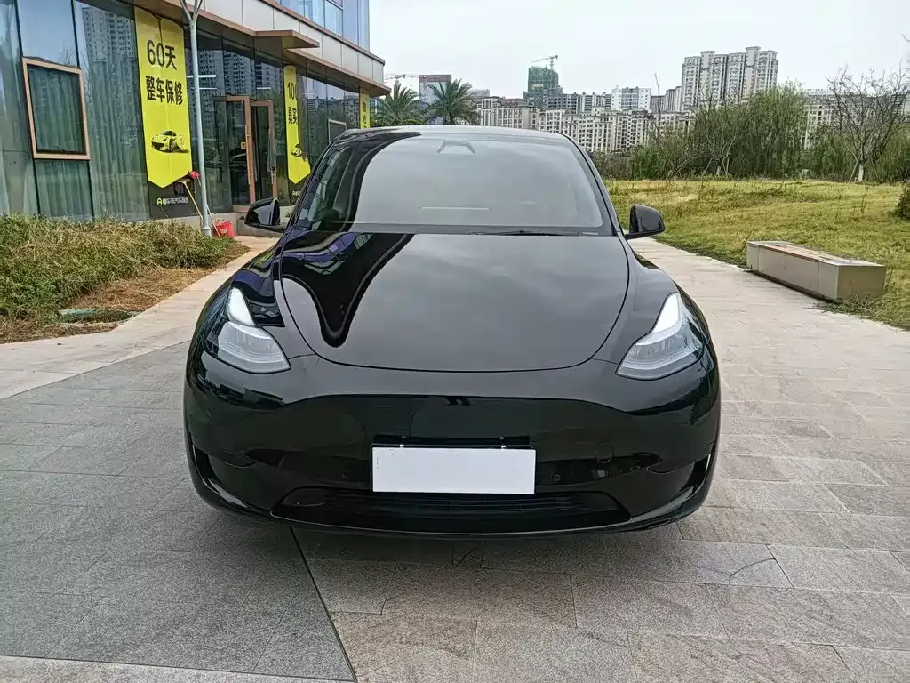 Tesla Model Y — фото 9