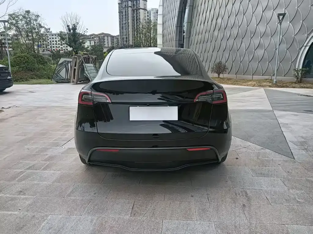 Tesla Model Y — фото 2