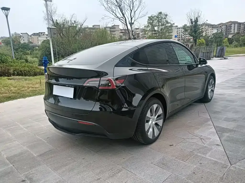 Tesla Model Y — фото 8