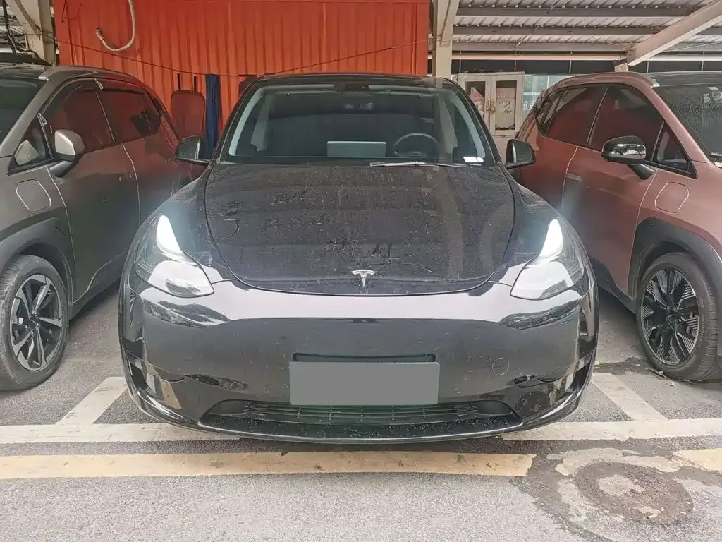 Tesla Model Y — фото 9