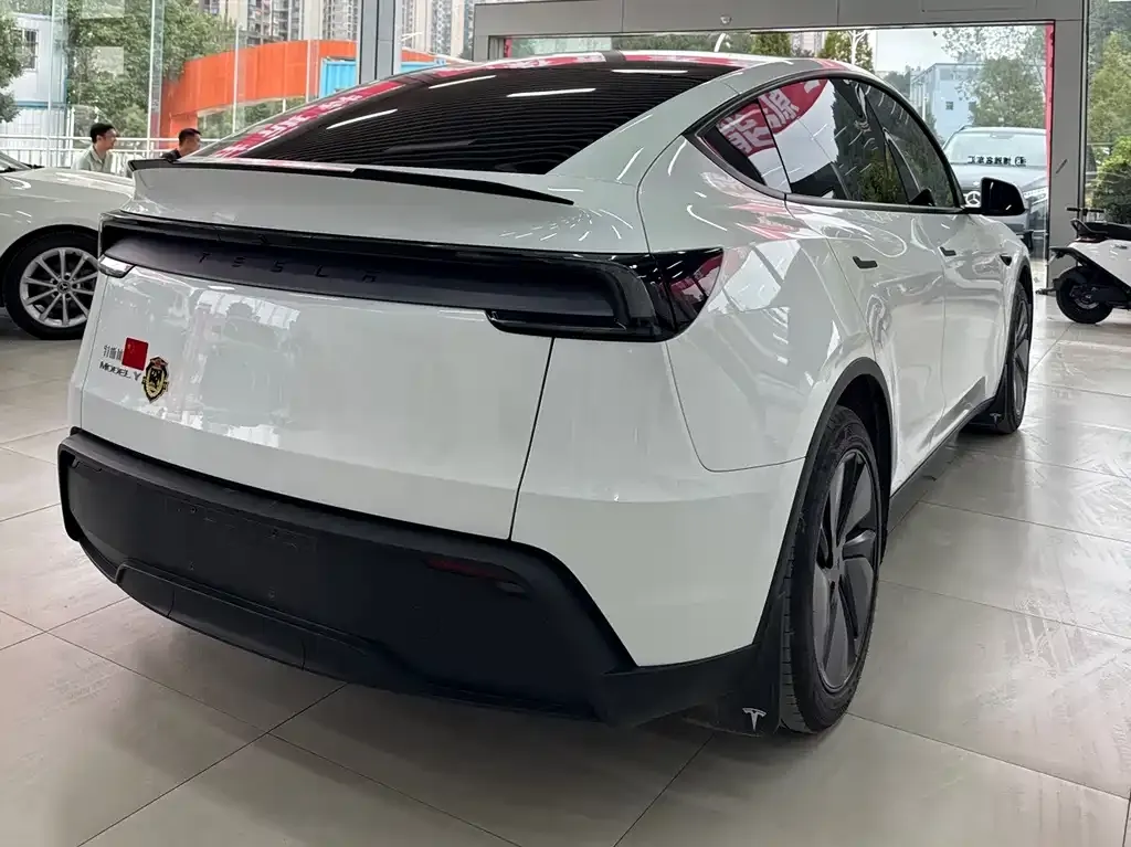Tesla Model Y — фото 8