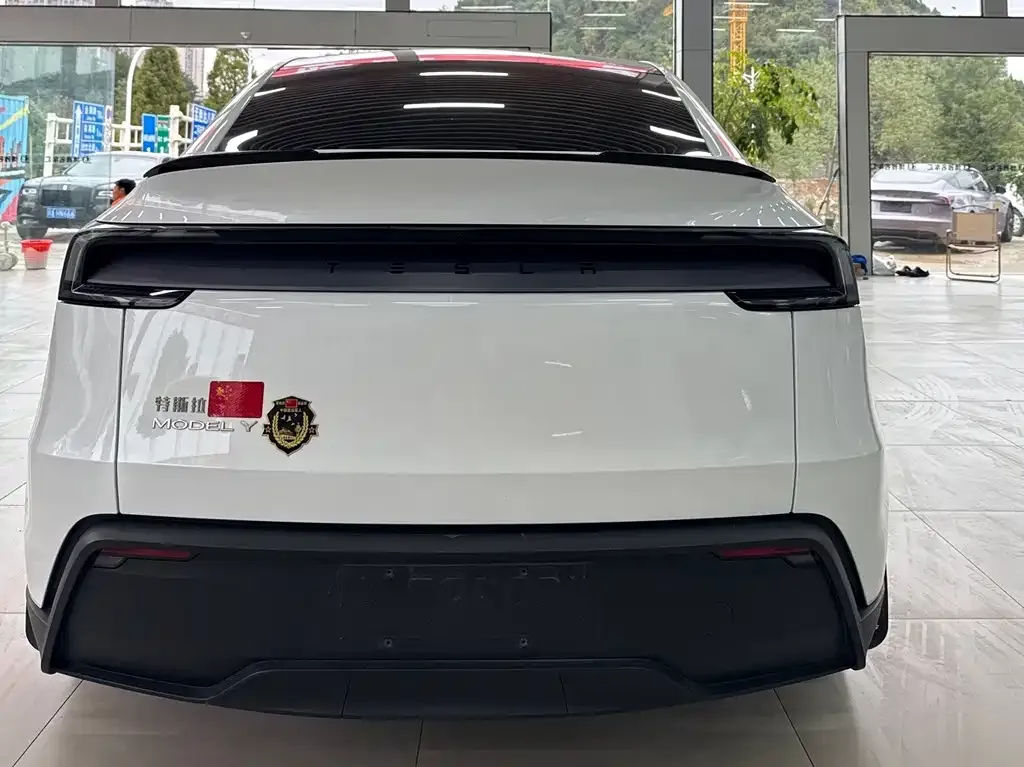 Tesla Model Y — фото 2