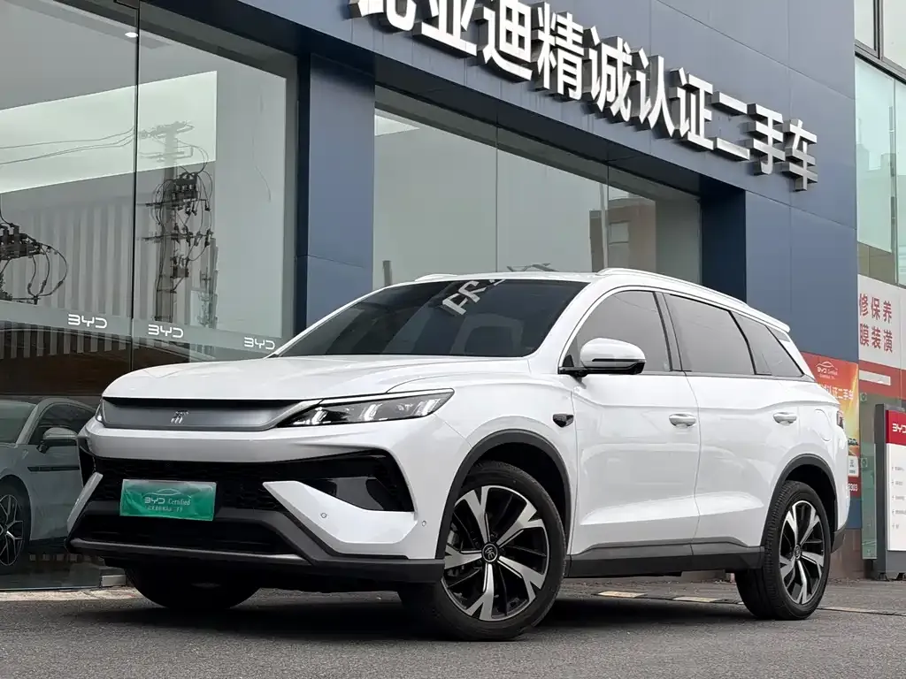 BYD Pro New Energy — фото 1