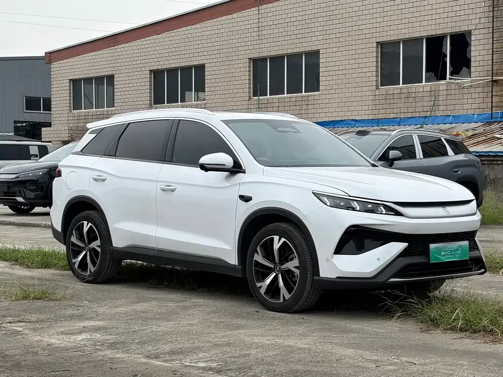 BYD Pro New Energy — фото 6