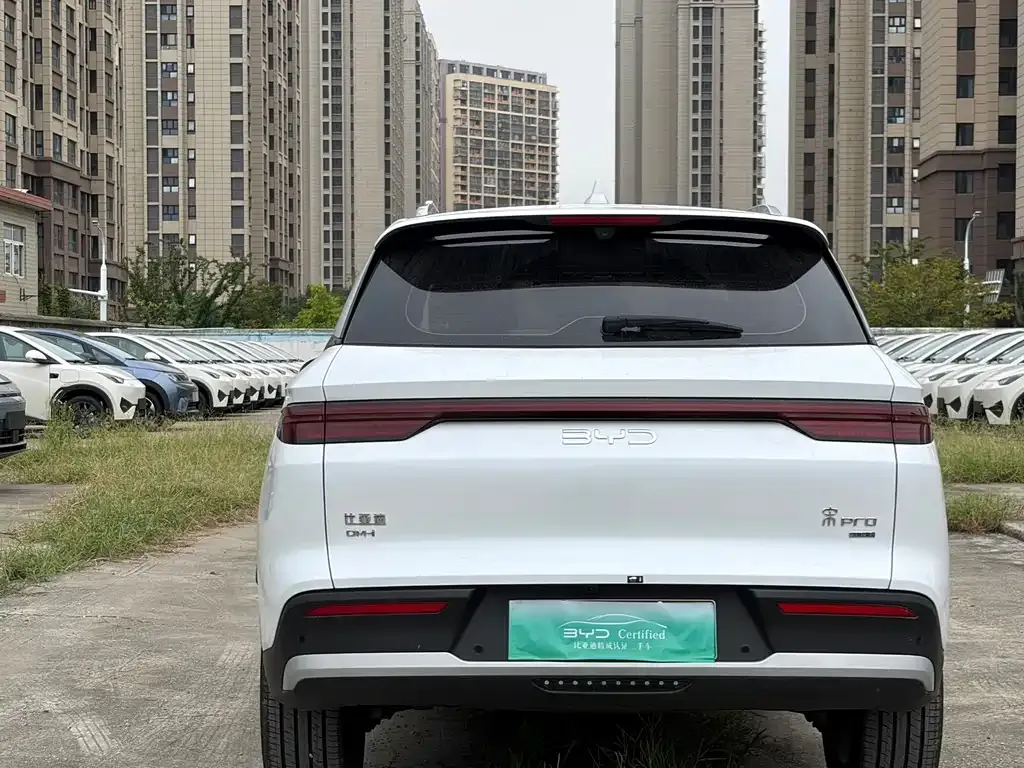 BYD Pro New Energy — фото 4