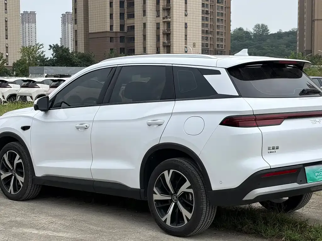 BYD Pro New Energy — фото 2