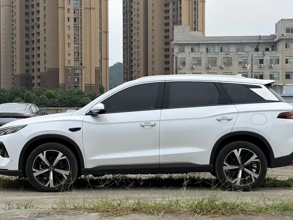 BYD Pro New Energy — фото 9