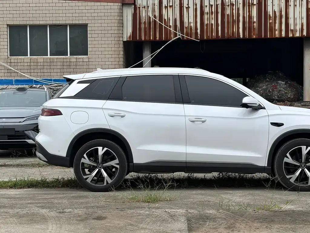 BYD Pro New Energy — фото 10