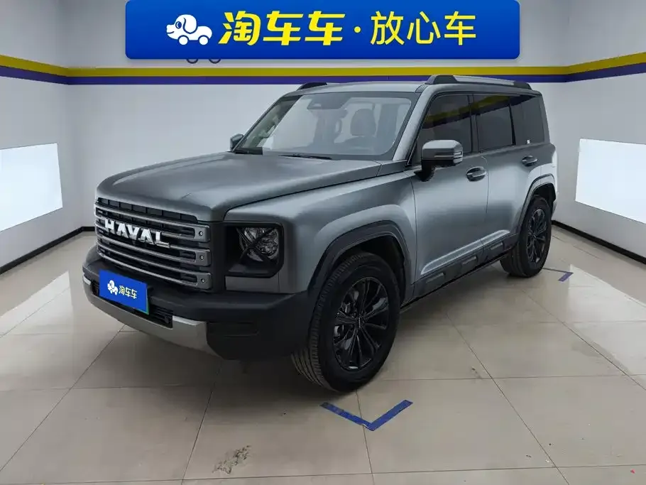 Haval Menglong New Energy — фото 1