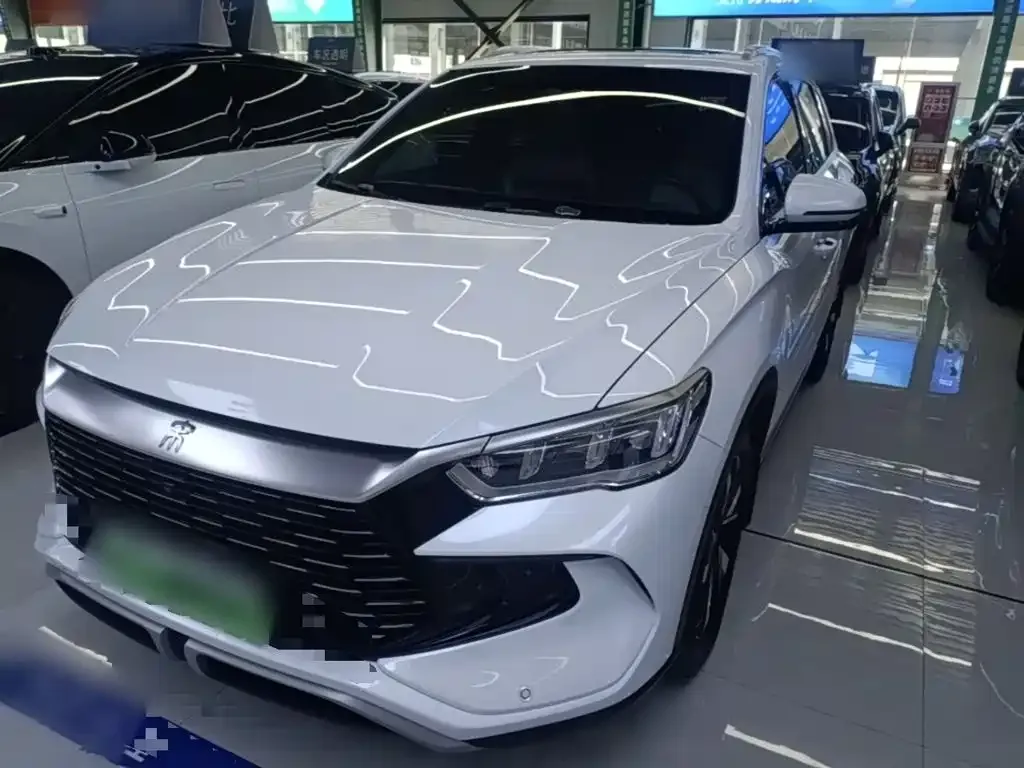 BYD Pro New Energy — фото 1