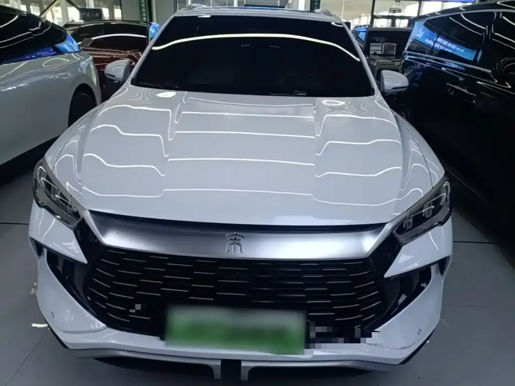 BYD Pro New Energy — фото 4