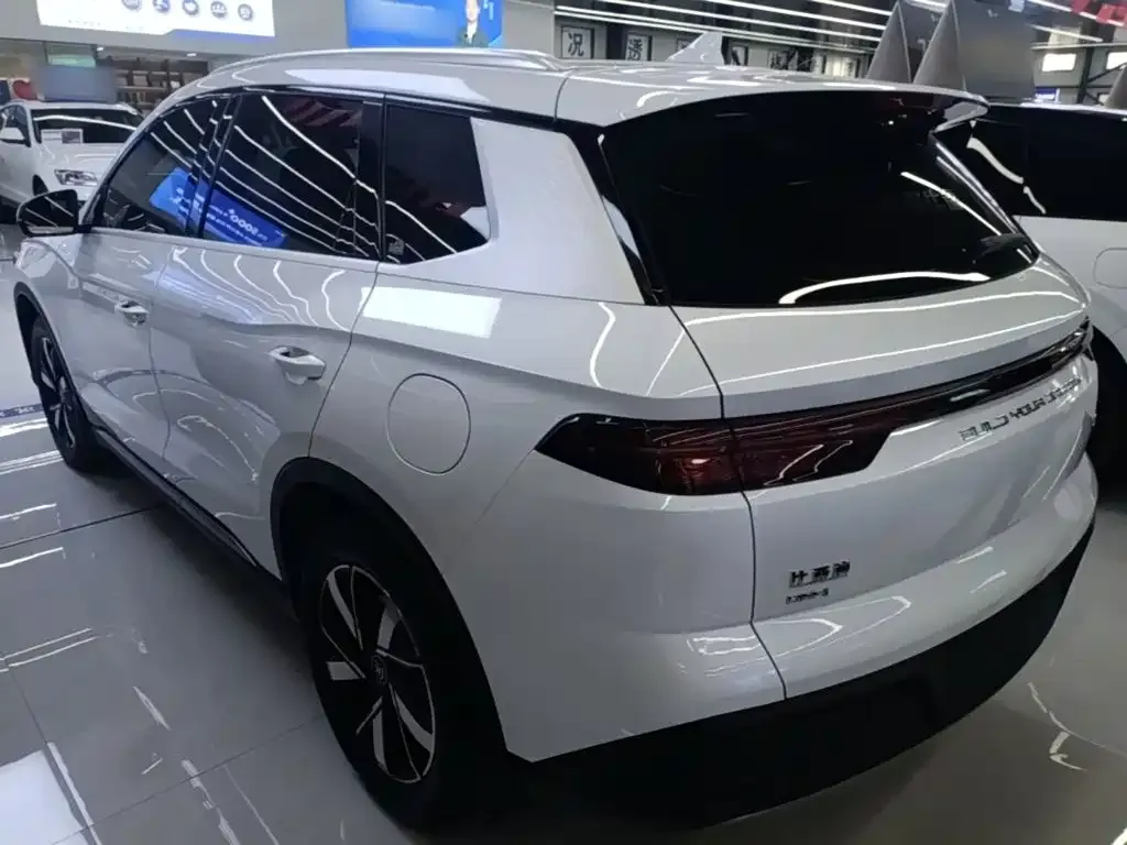 BYD Pro New Energy — фото 9