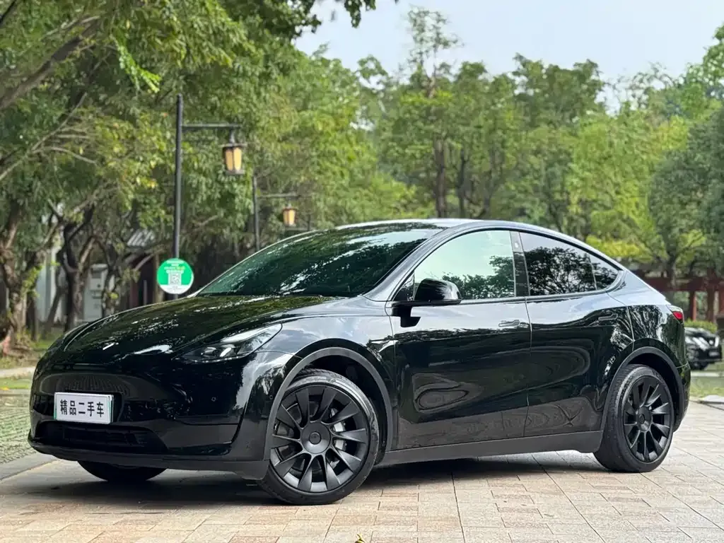 Tesla Model Y — фото 1