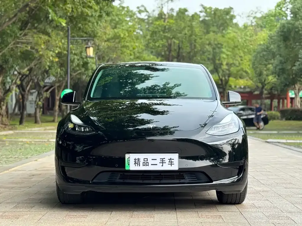 Tesla Model Y — фото 9