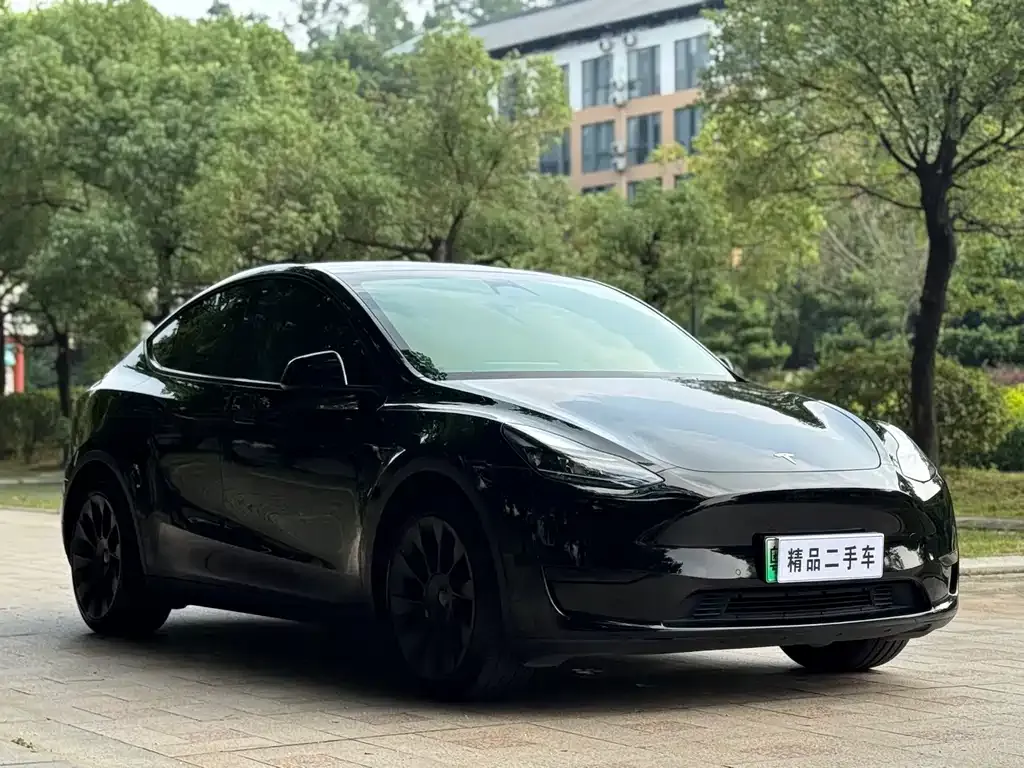 Tesla Model Y — фото 6