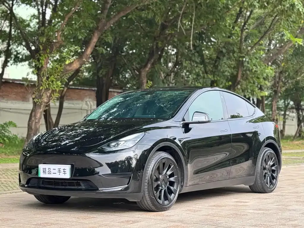 Tesla Model Y — фото 3