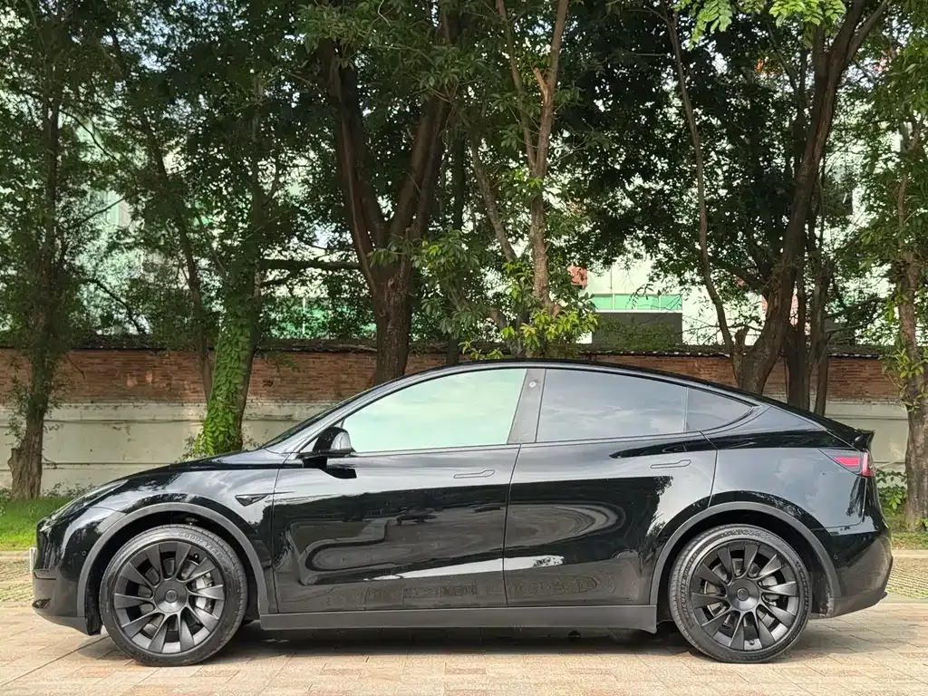 Tesla Model Y — фото 7
