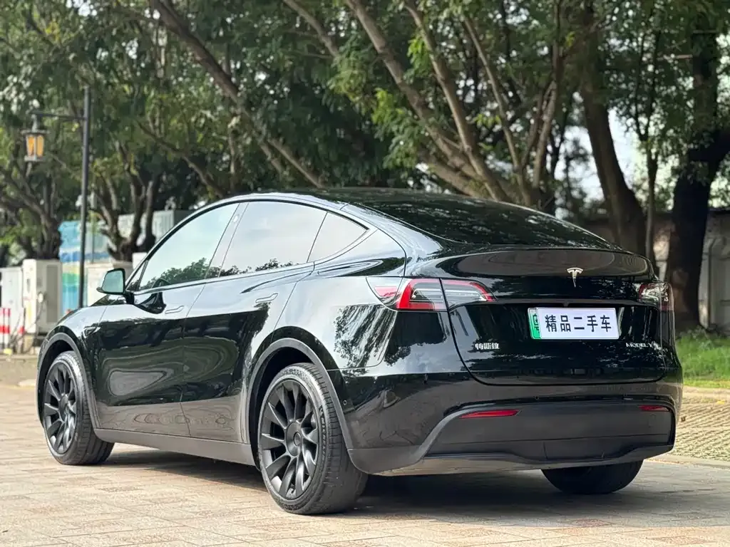 Tesla Model Y — фото 2
