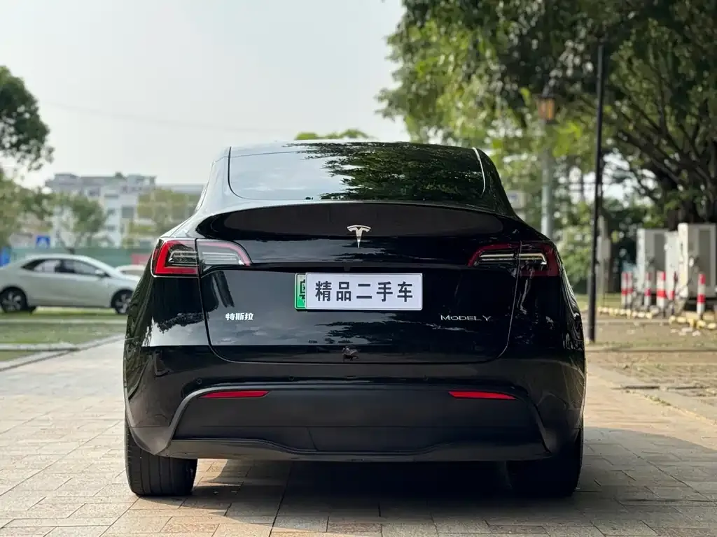 Tesla Model Y — фото 4