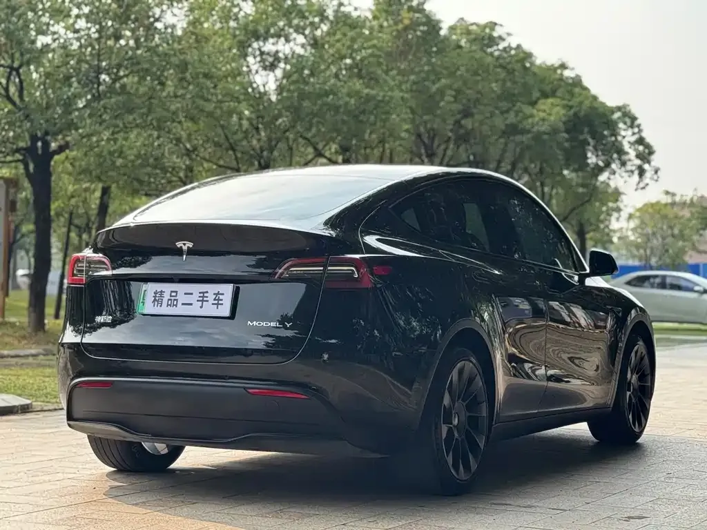 Tesla Model Y — фото 10