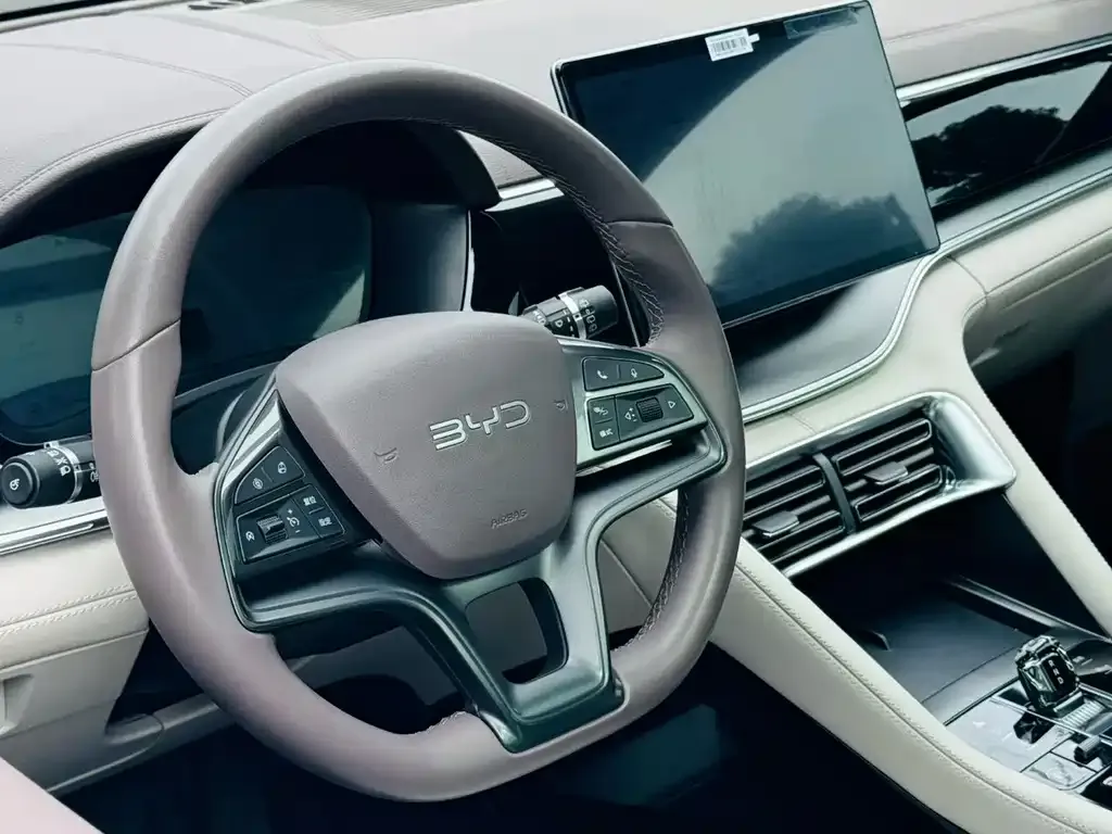 BYD PLUS New Energy — фото 8