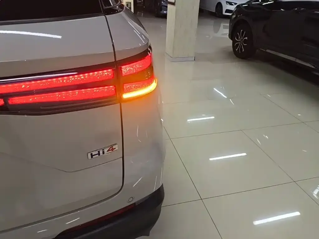 Haval Xiaolong MAX — фото 4