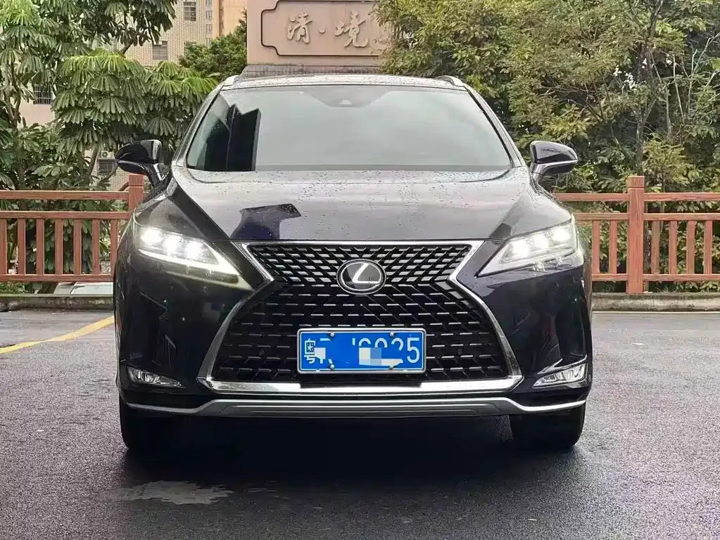 Lexus RX — фото 8